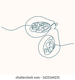 continuous line drawing of papaya Fruit