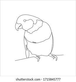 Continuous line drawing parrot bird.