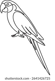  continuous line drawing of a parrot perched in side profile with long tail and curved beak on white background
