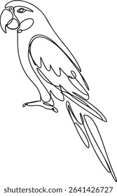  continuous line drawing of a parrot perched in side profile with long tail and curved beak on white background