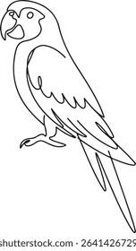  continuous line drawing of a parrot perched in side profile with long tail and curved beak on white background