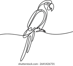  continuous line drawing of a parrot perched in side profile with long tail and curved beak on white background