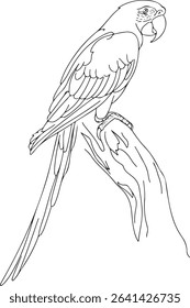  continuous line drawing of a parrot perched in side profile with long tail and curved beak on white background