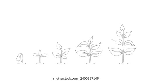 Continuous line drawing of Phases plant growing. Seedling gardening plant. Single one line art of Planting infographic. Evolution concept. Sprout, plant, growing agriculture icons. Vector illustration