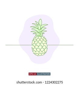 Continuous line drawing of pineapple. Template for your design. Vector illustration.