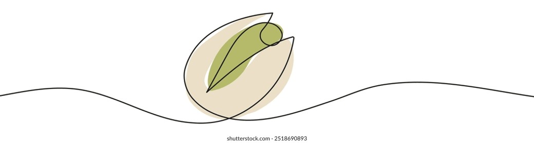 Continuous line drawing of pistachios. Single line drawing of an pistachios. Line art pistachios. Vector illustration.