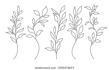 Continuous Line Drawing Of Plant Black Sketch of Leaves Branch Isolated on White Background. Flower with Leaves One Line Illustration. Minimalist Botanical Drawing. Vector	