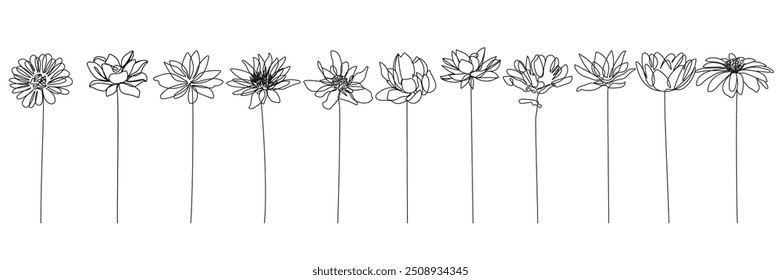 Desenho de linha contínua de planta preto esboço de flores isoladas no fundo branco. Ilustração de uma linha de flores. Desenho Botânico Minimalista. Vetor	