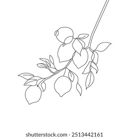 Continuous Line Drawing Of Plant Black Sketch of Lemon Tree Branch Isolated on White Background. Lemon Branch with Leaves One Line Illustration Minimalist Style. Vector EPS 10.	