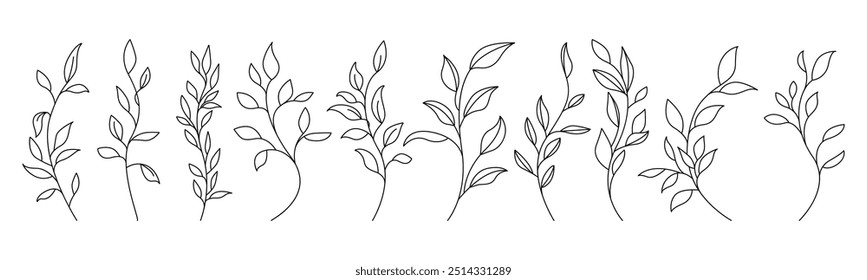 Continuous Line Drawing Of Plant Black Sketch of Leaves Branch Isolated on White Background. Flower with Leaves One Line Illustration. Minimalist Botanical Drawing. Vector	