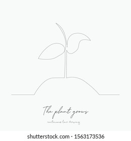 continuous line drawing. the plant grows. simple vector illustration. the plant grows concept hand drawing sketch line.