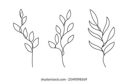 Desenho de linha contínua de plantas preto esboço de folhas ramificação isolada no fundo branco. Flor com Ilustração de Uma Linha de Folhas. Desenho Botânico Minimalista. Vetor	