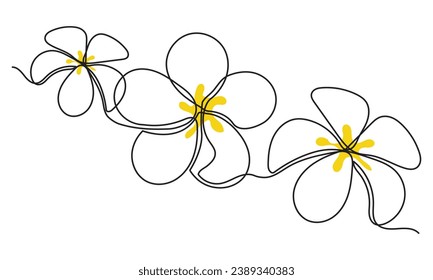 continuous line drawing of Plumeria flowers. Single-line art tropical plant hand drawing Plumeria flowers vector illustration. sketch on a white background.