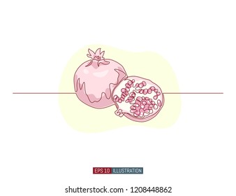 Continuous line drawing of pomegranate. Template for your design. Vector illustration.