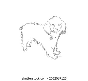 Continuous line drawing of a poodle dog, vector illustration