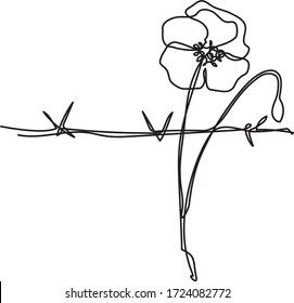 Continuous line drawing. Poppy Flower and Barbed Wire for Memorial Day
