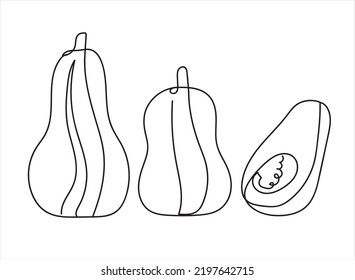 Continuous line drawing pumpkin. Autumn pumpkin line art. Minimalist art