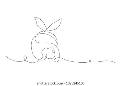 continuous line drawing of rabbit vector