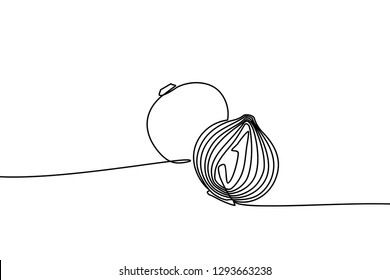 Continuous line drawing of Red onion. Black and white vector illustration. - Vector