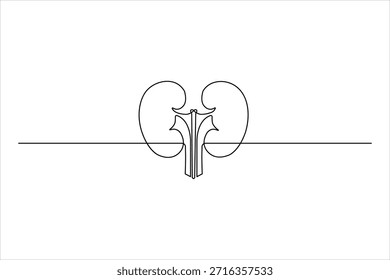 Continuous line drawing of renal anatomy with wave