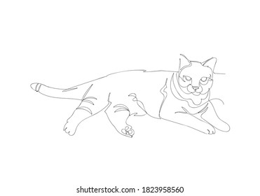 Continuous line drawing of resting young cat for banner,cats illustration,background,greeting card,wallpaper,pattern,printing,animals illustration,clip art,coloring,preschool coloring,poster.