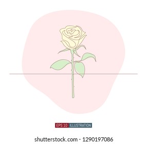 Continuous line drawing of rose flower. Template for your design works. Vector illustration.