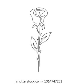 Desenho de linha contínuo. Rose... Flor. Preto isolado no fundo branco. Ilustração de vetor desenhada à mão. 
