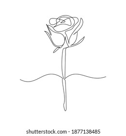 Continuous line drawing of rose flower. One line art concept of beautiful floral for love greeting. Vector illustration