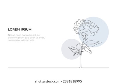 Continuous line drawing of rose flower white background. - Vector