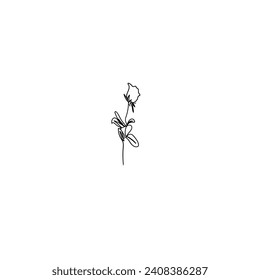 Continuous Line Drawing Of Rose Flower Vector Stock Illustration