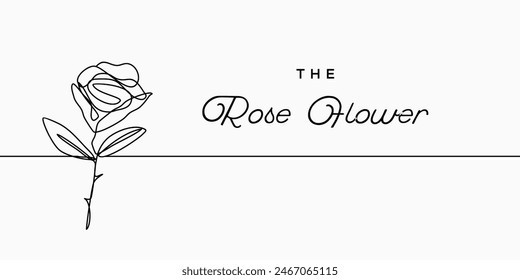 Continuous line, drawing of rose flower vector illustration for t-shirt, slogan design print graphics style