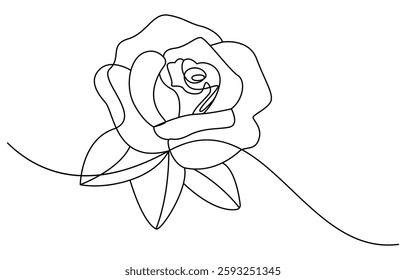 Continuous line drawing of rose flower. One line art concept of beautiful floral for love greeting
