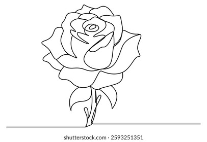 Continuous line drawing of rose flower. One line art concept of beautiful floral for love greeting