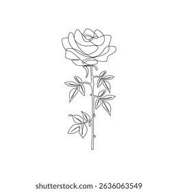 Continuous line drawing of rose flower vector illustration hand drawn decorative beautiful design