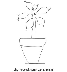 
continuous line drawing of a sapling in a leaf pot vector illustration