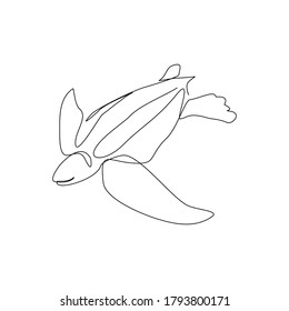 continuous line drawing of sea turtle. Single line art concept of aquatic water park. Vector illustration