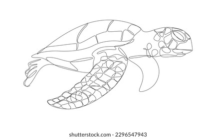 continuous line drawing sea turtle, The long lines are sea turtle shapes.
