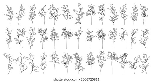Continuous Line Drawing Set Of Plant Black Sketch of Flowers, Leaves Branch Isolated on White Background. Flower with Leaves One Line Illustration. Minimalist Botanical Drawing. Vector	