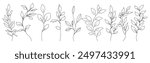 Continuous Line Drawing Set Of Plants Black Sketch of Flowers Isolated on White Background. Flowers One Line Illustration. Minimalist Prints Set. Vector EPS 10.	