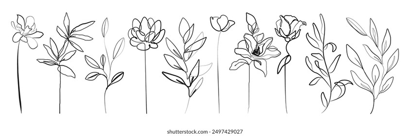 Continuous Line Drawing Set Of Plants Black Sketch of Flowers Isolated on White Background. Flowers One Line Illustration. Minimalist Prints Set. Vector EPS 10.	