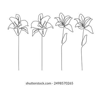 Continuous Line Drawing Set Of Plants Black Sketch of Lilly  Flowers Isolated on White Background. Flowers One Line Illustration. Minimalist Prints Set. Vector EPS 10.	