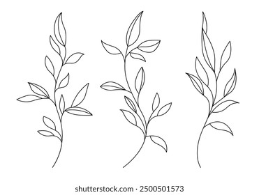 Conjunto de dibujo de línea continua de plantas Bosquejo negro de la rama de hojas aislada sobre fondo blanco. Ilustración de una línea de flores. Conjunto de estampados minimalistas. Vector 10.