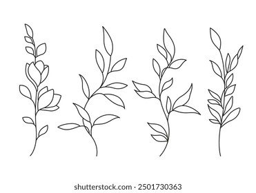 Continuous Line Drawing Set Of Plants Black Sketch of Leaves Branch Isolated on White Background. Flowers One Line Illustration. Minimalist Prints Set. Vector EPS 10.	