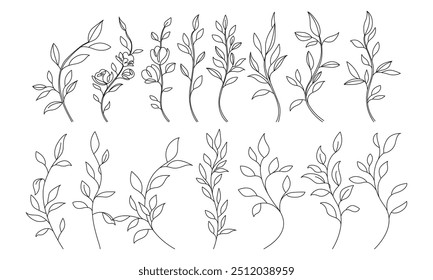 Continuous Line Drawing Set Of Plants Black Sketch of Leaves Branch Isolated on White Background. Leaves One Line Illustration. Minimalist Prints Set. Vector EPS 10.	