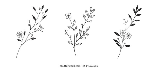 Desenho de linha contínua do conjunto de plantas. Folhas, ramo, uma linha, ilustração para design minimalista. ilustração vetorial