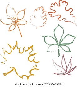 Continuous Line Drawing Set Of Prints color autumn fall Sketch Leaves without Background.autumn Leaves One Line Illustration
