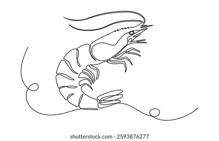 Continuous line drawing of shrimp, simple linear style, single line vector illustration, minimalist seafood design, editable stroke, isolated on a white background 