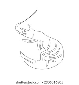 continuous line drawing of shrimp. Vector illustration on white background.