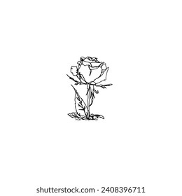 Continuous Line Drawing silhouette of flowers and roses. Illustration Icon Vector