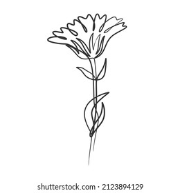 Continuous line drawing of simple flower illustration. Abstract flower in one line art drawing